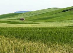 La sesta tappa del Cammino Materano