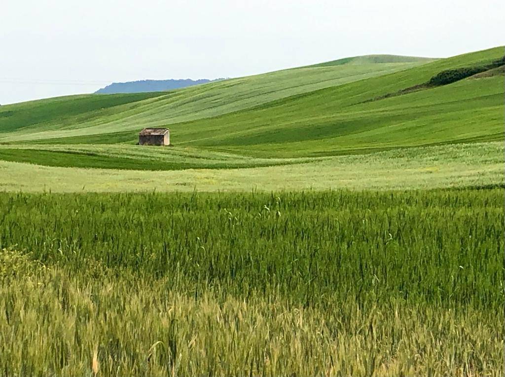 La sesta tappa del Cammino Materano