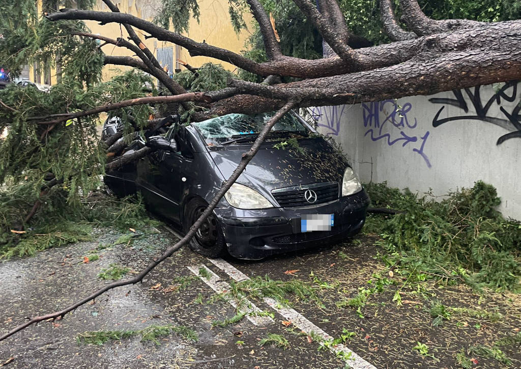 Fulmine squarcia un albero a Busto Garolfo