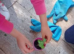 giardinaggio primaria de amicis gallarate cedrate 