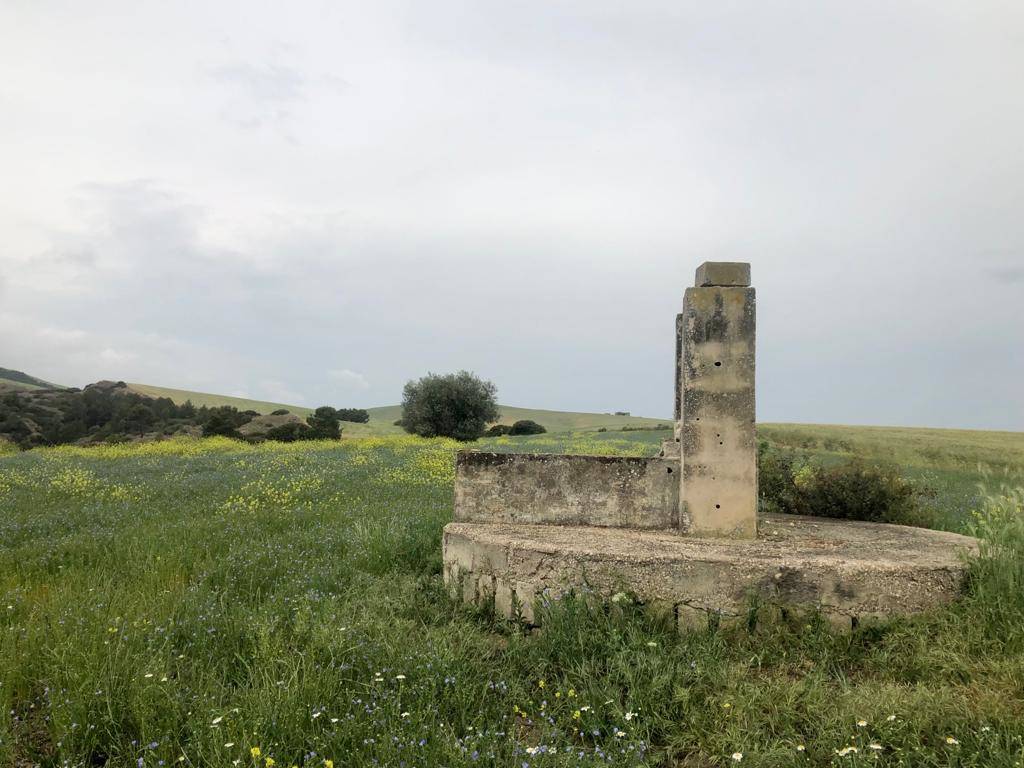 Giorno 7 del cammino Materano