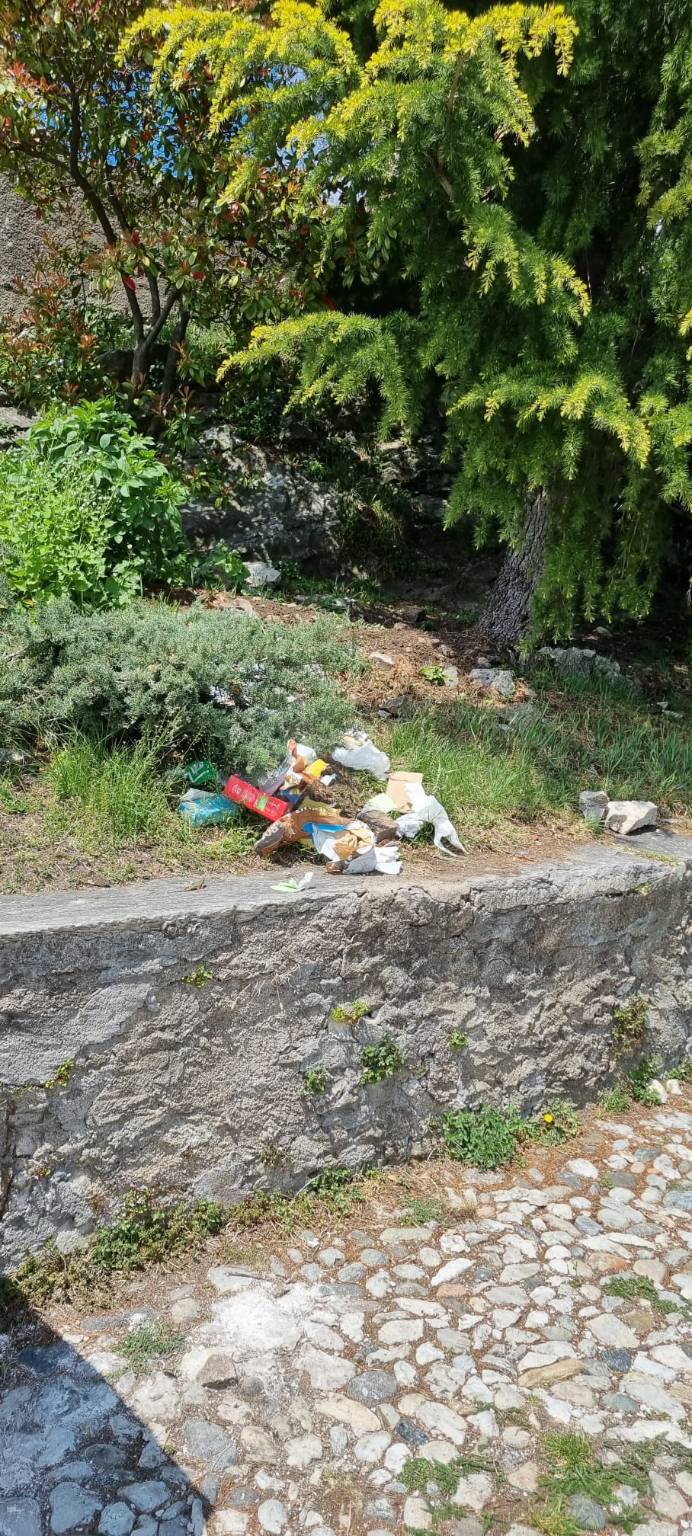 Il Sacro Monte di Varese ripulito dai rifiuti