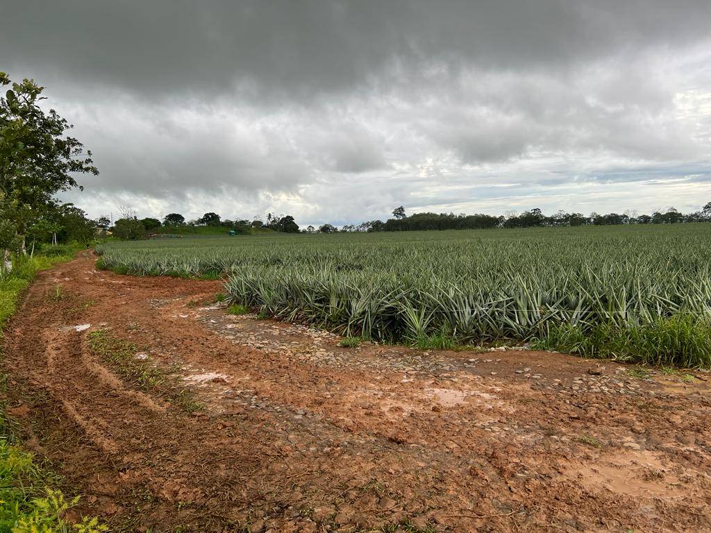 In viaggio col mercante: Costa Rica 