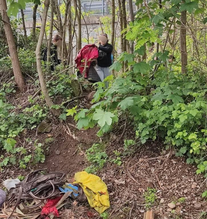 Induno Olona - Pulizia dei boschi con i ragazzi del liceo Ferraris di Varese