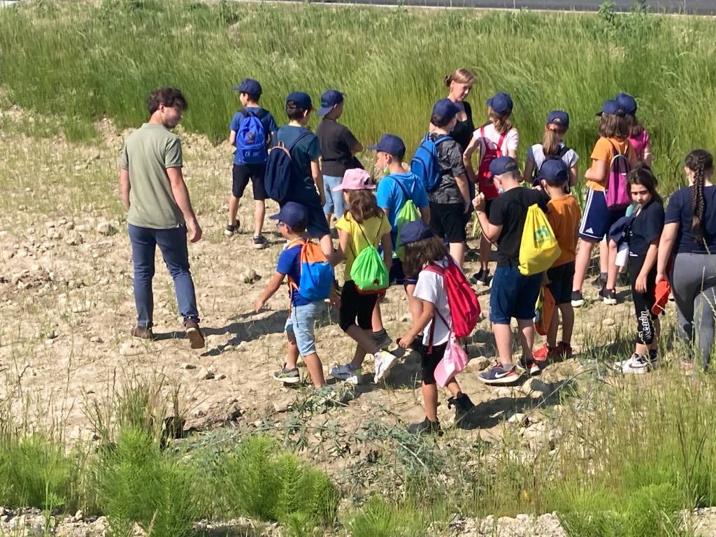 La Festa degli alberi alla Goglio di Daverio