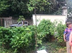 La festa per 50 anni della maturità della terza C Cairoli