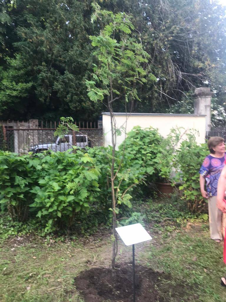 La festa per 50 anni della maturità della terza C Cairoli