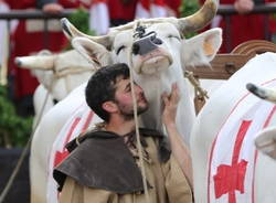 Legnano palio