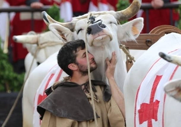 Legnano palio