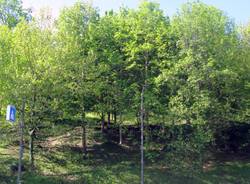 Metamorfosi urbana a Varese: la funicolare del Kursall