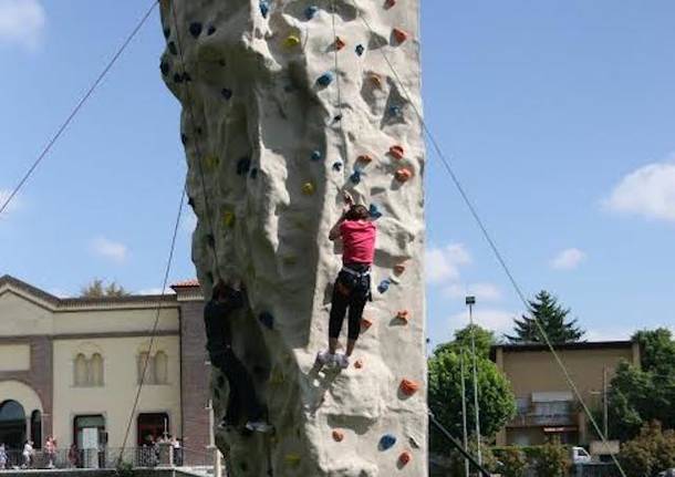 palestra arrampicata cai