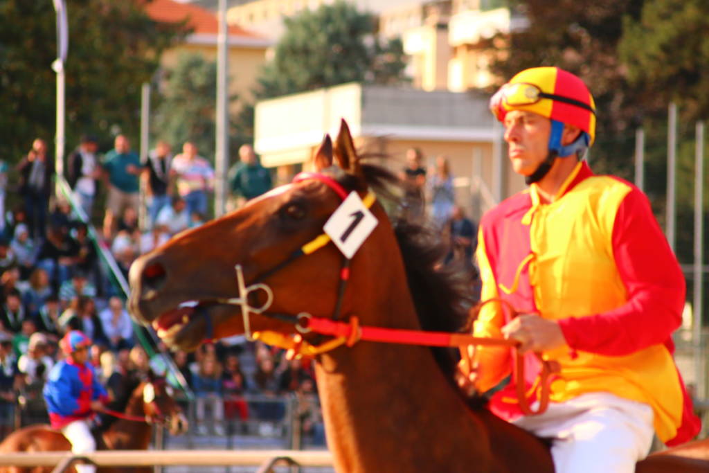 Palio di Legnano 2022 - La corsa 
