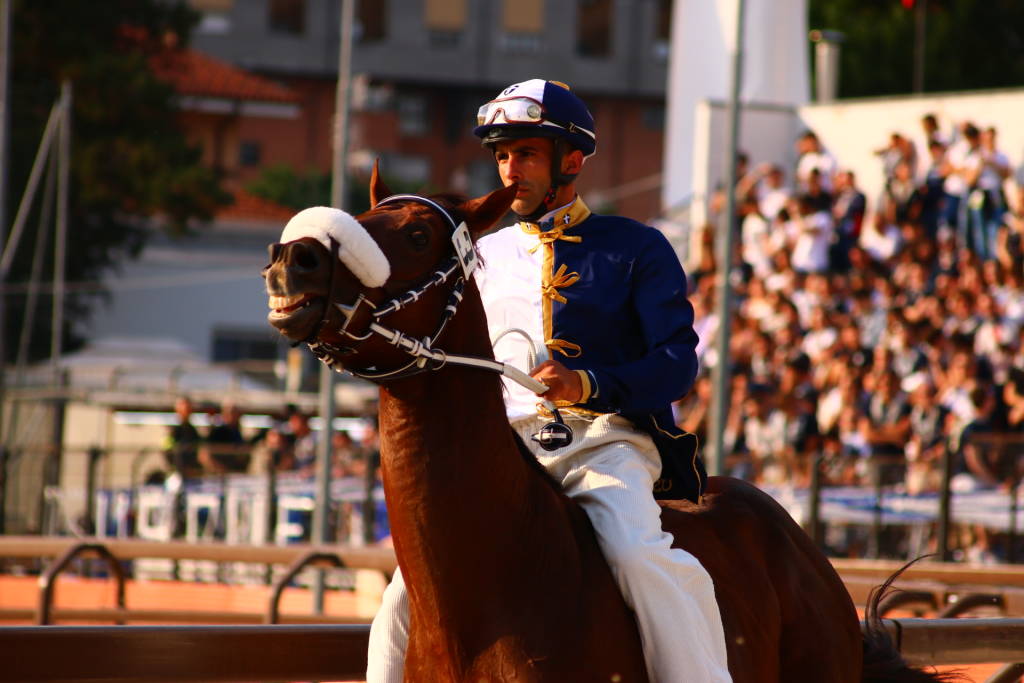 Palio di Legnano 2022 - La corsa 