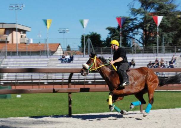 palio legnano