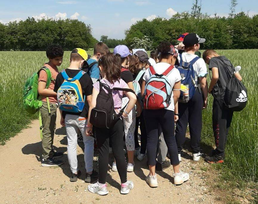 Parco del Roccolo - studenti alla scoperta della biodiversità 