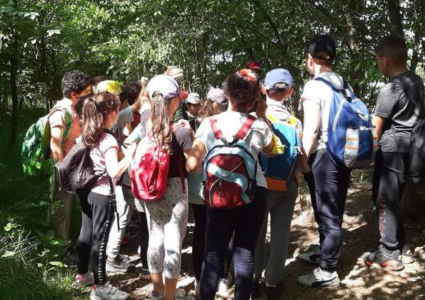 Studenti alla scoperta della biodiversità al parco del Roccolo