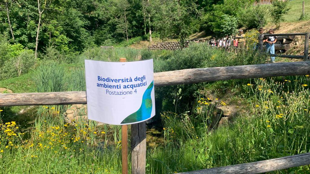 premio ortoinsieme morosolo-svizzera