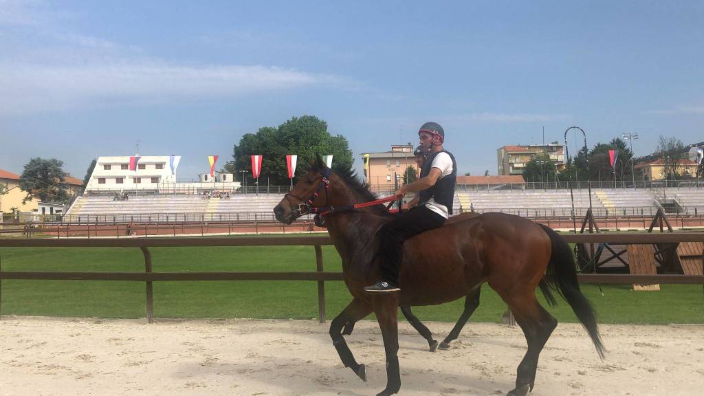 Prove libere Palio di Legnanonews