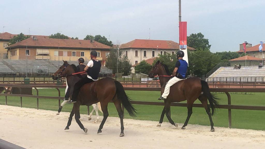 Prove libere Palio di Legnanonews