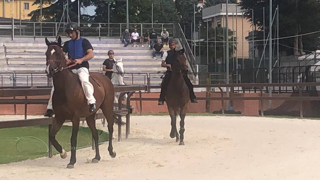 Prove libere Palio di Legnanonews