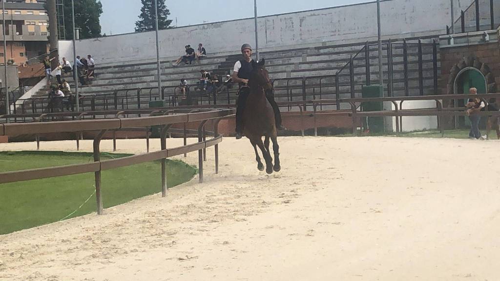 Prove libere Palio di Legnanonews