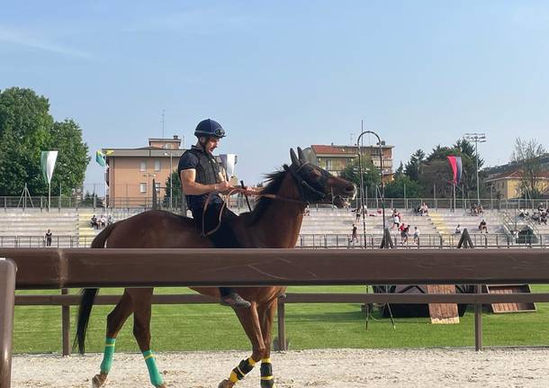 Cavalli al canapo: prove ufficiali del Palio di Legnano 2022