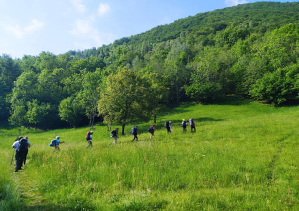 Sentiero Chiovini trekking