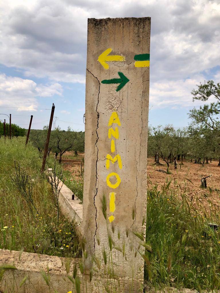 Tappa 2 del cammino Materano: da Bitetto a Cassano delle Murge