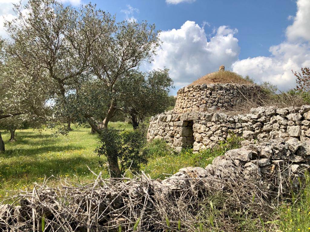Tappa 4 del cammino Materano: l'arrivo ad Altamura