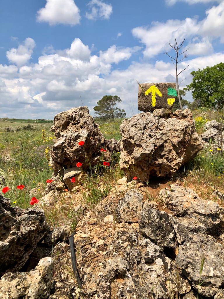 Tappa 4 del cammino Materano: l'arrivo ad Altamura