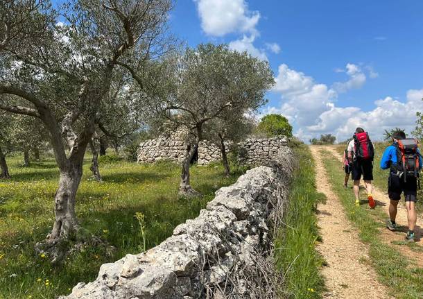 Tappa 4 del cammino Materano: l'arrivo ad Altamura