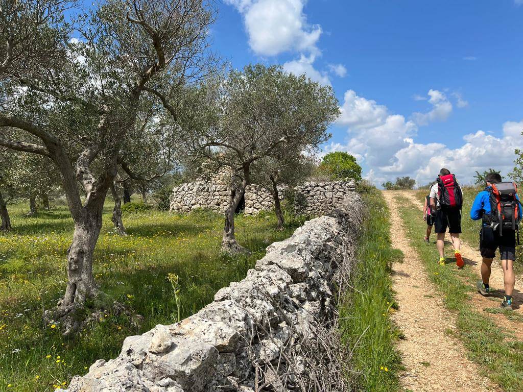 Tappa 4 del cammino Materano: l'arrivo ad Altamura