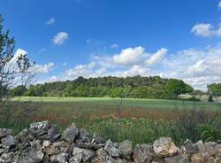 Terzo giorno del cammino Materano: da Cassano delle Murge a Santeramo in colle