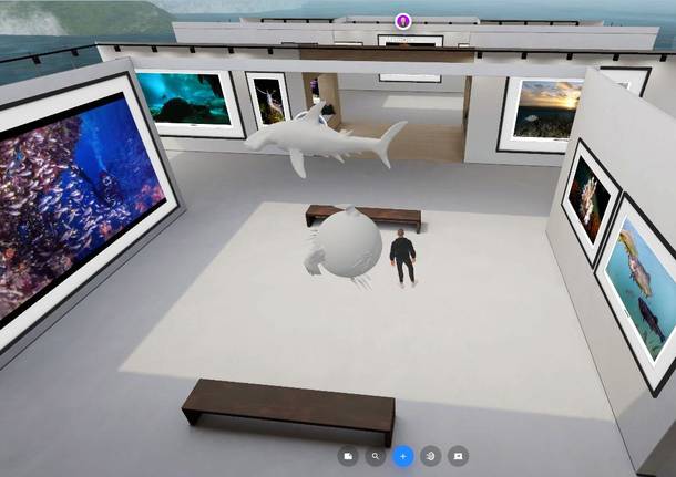 Un museo marino nel metaverso