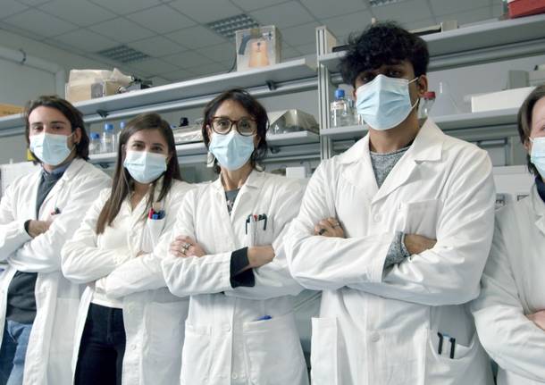 Università Insubria - il team di Greta Forlani