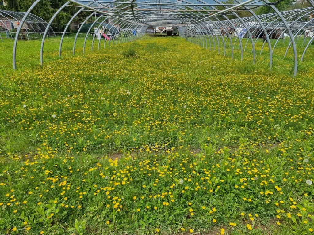 Va in giro: tappa 12, da Malnate a Porto Ceresio