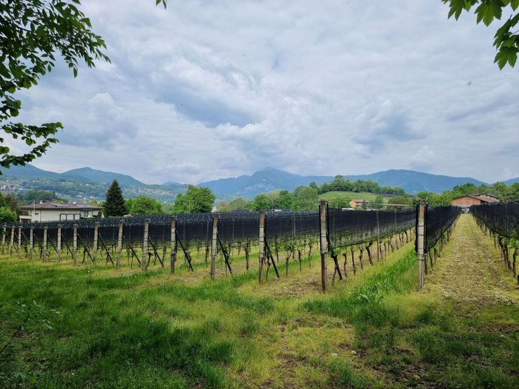 Va in giro: tappa 12, da Malnate a Porto Ceresio