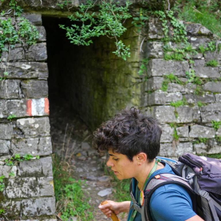 Va in giro tappa 13 Monte Orsa Monte Pravello