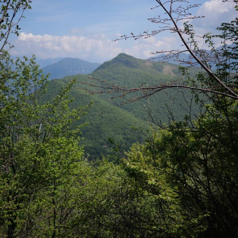 Va in giro tappa 13 Monte Orsa Monte Pravello