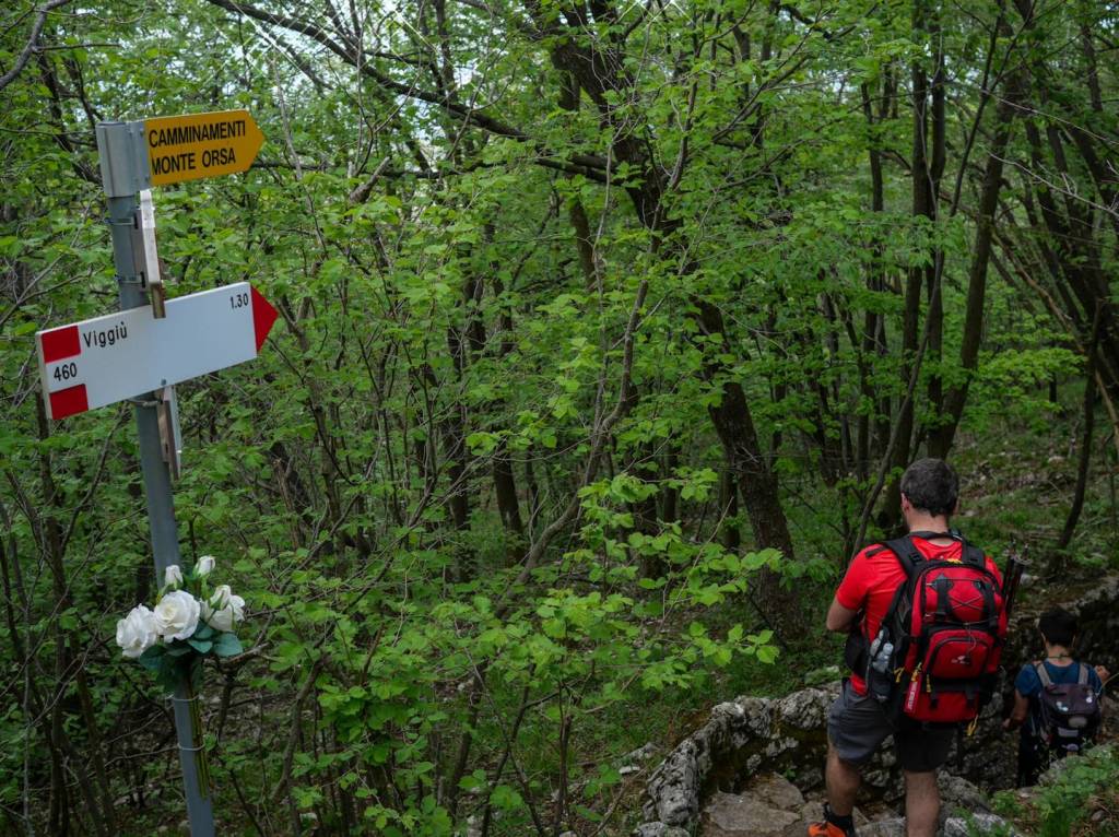 Va in giro tappa 13 Monte Orsa Monte Pravello
