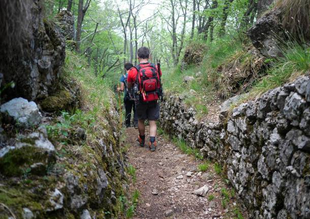 Va in giro tappa 13 Monte Orsa Monte Pravello