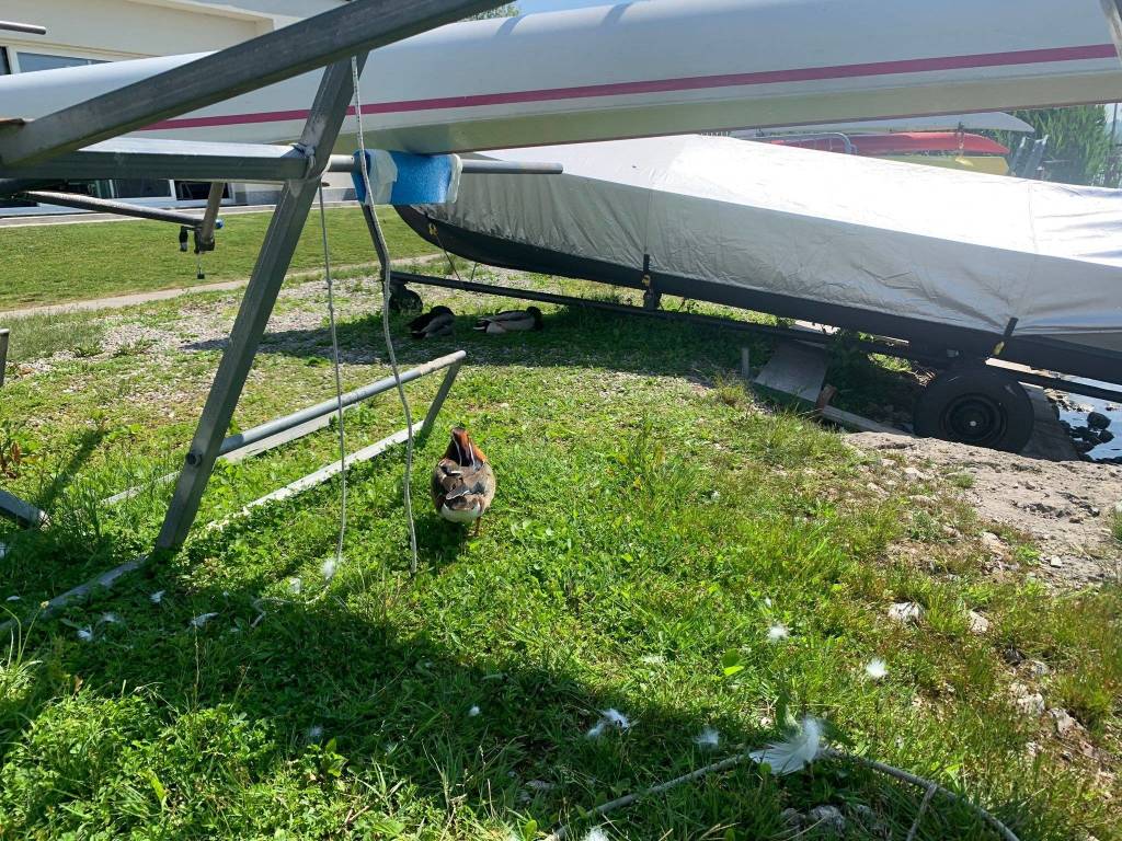 VA in giro tappa 15 Laghi di Varese Somma Lombardo