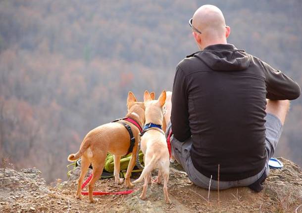 cani in montagna