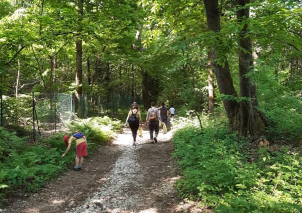 Verde Pulito - Taino - 22 maggio 2022