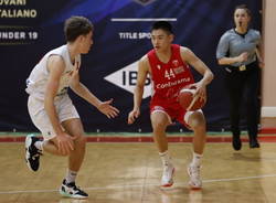 weilun zhao basket academy