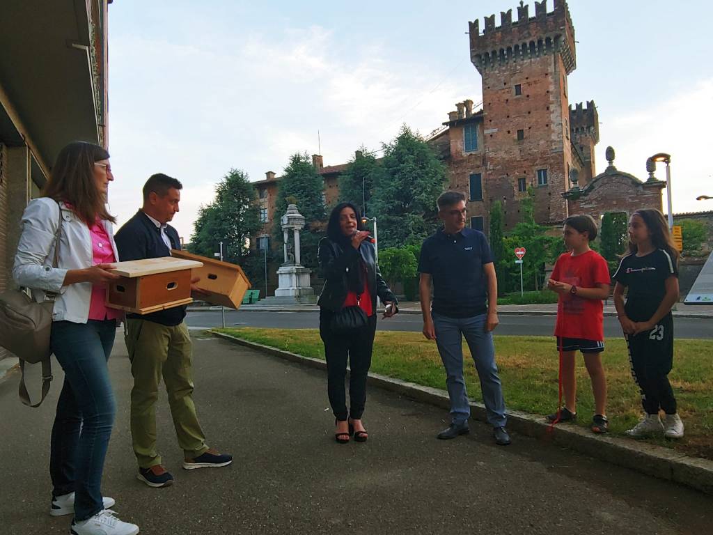 A Cislago debuttano i pannelli informativi sui rondoni del Castello