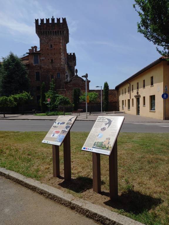 A Cislago debuttano i pannelli informativi sui rondoni del Castello