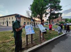 A Cislago debuttano i pannelli informativi sui rondoni del Castello