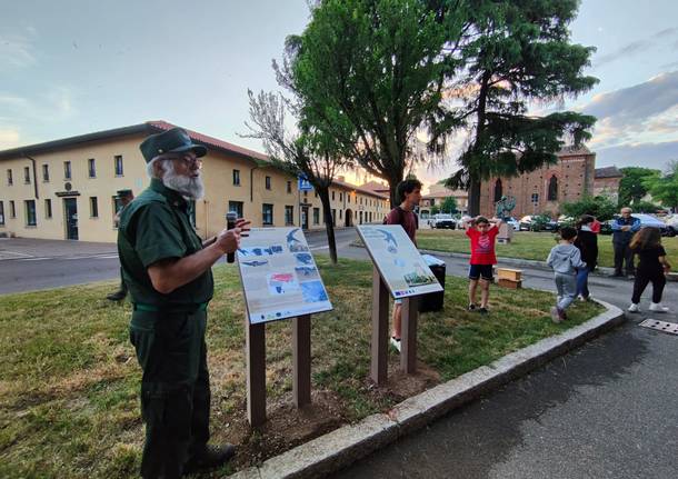 A Cislago debuttano i pannelli informativi sui rondoni del Castello