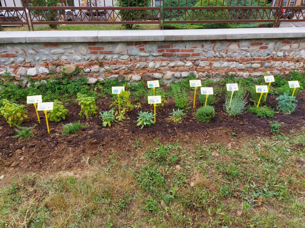 A Saronno il parco De Rocchi si arricchisce di piante ed erbe aromatiche 